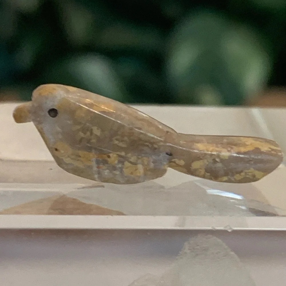 Vintage Native American Bird Fetish Bead Miniature Carved Stone Drilled Animal 1